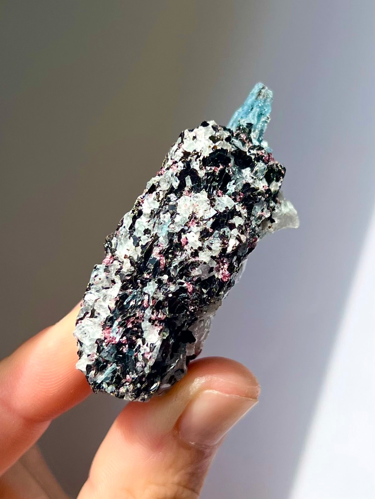 Spécimen Cyanite / Grenat / Biotite / Albite / Quartz 6