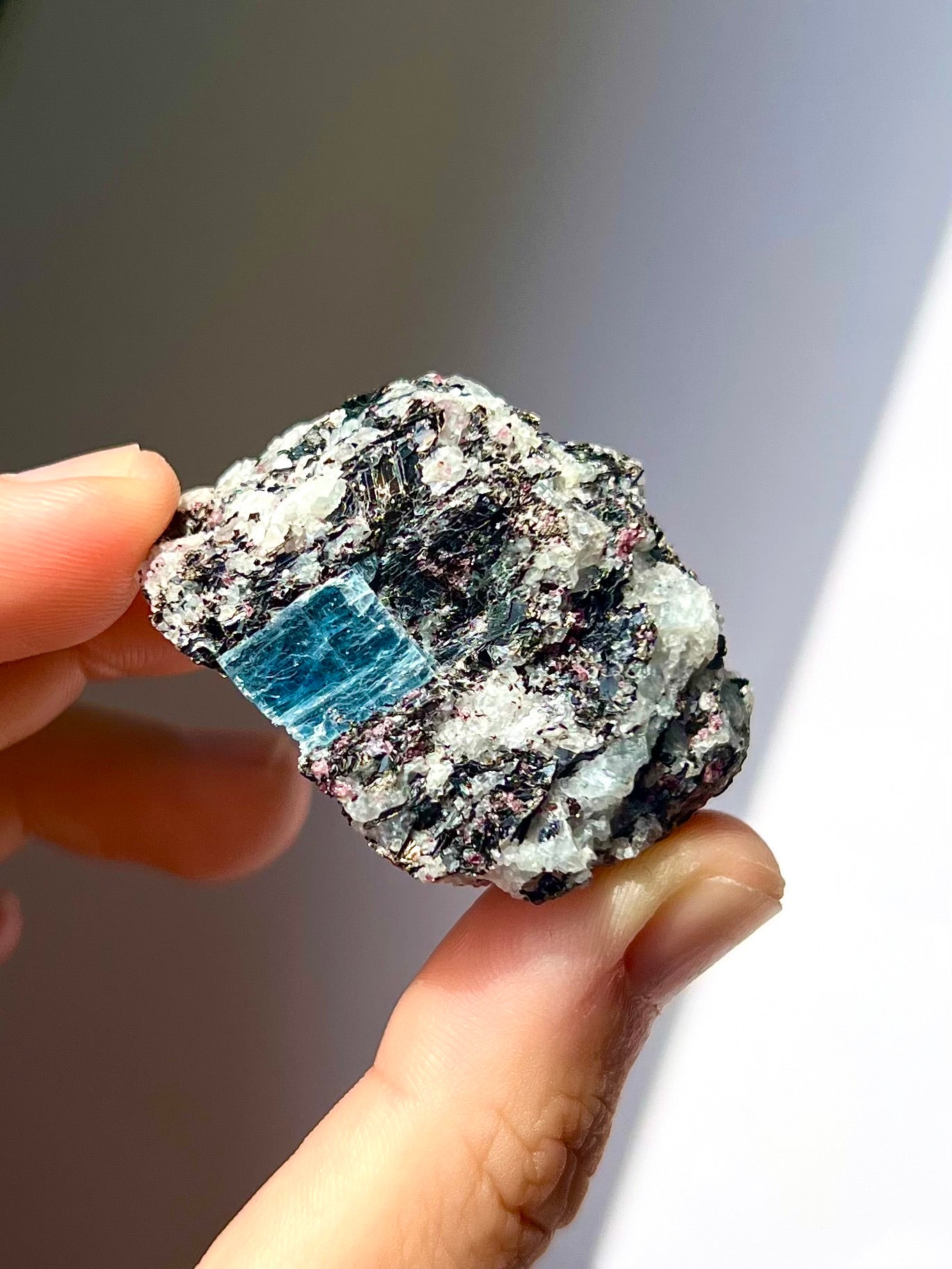 Spécimen Cyanite / Grenat / Biotite / Albite / Quartz 9