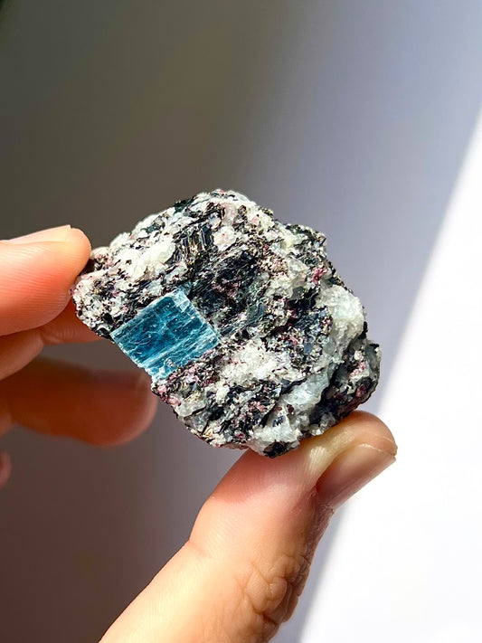 Spécimen Cyanite / Grenat / Biotite / Albite / Quartz 9