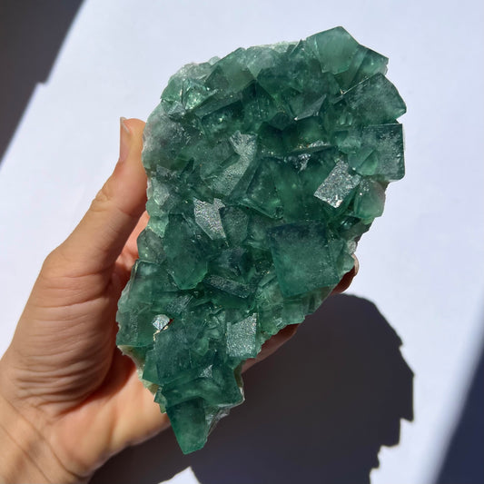 Fluorite brute 1