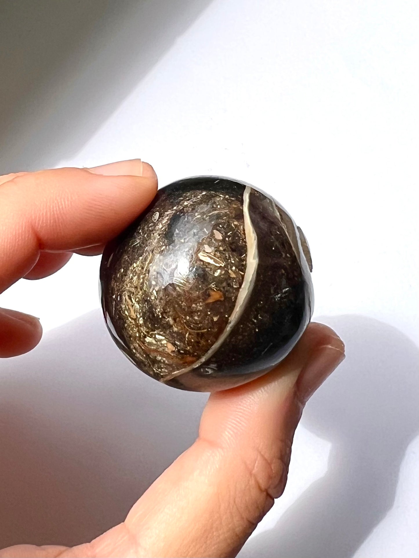 Sphère en Agate fossile Turitelle 1