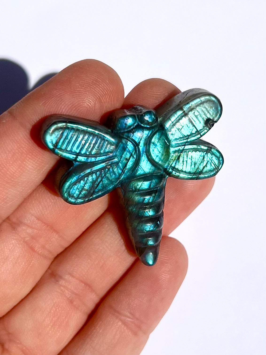 Libellule en Labradorite 4