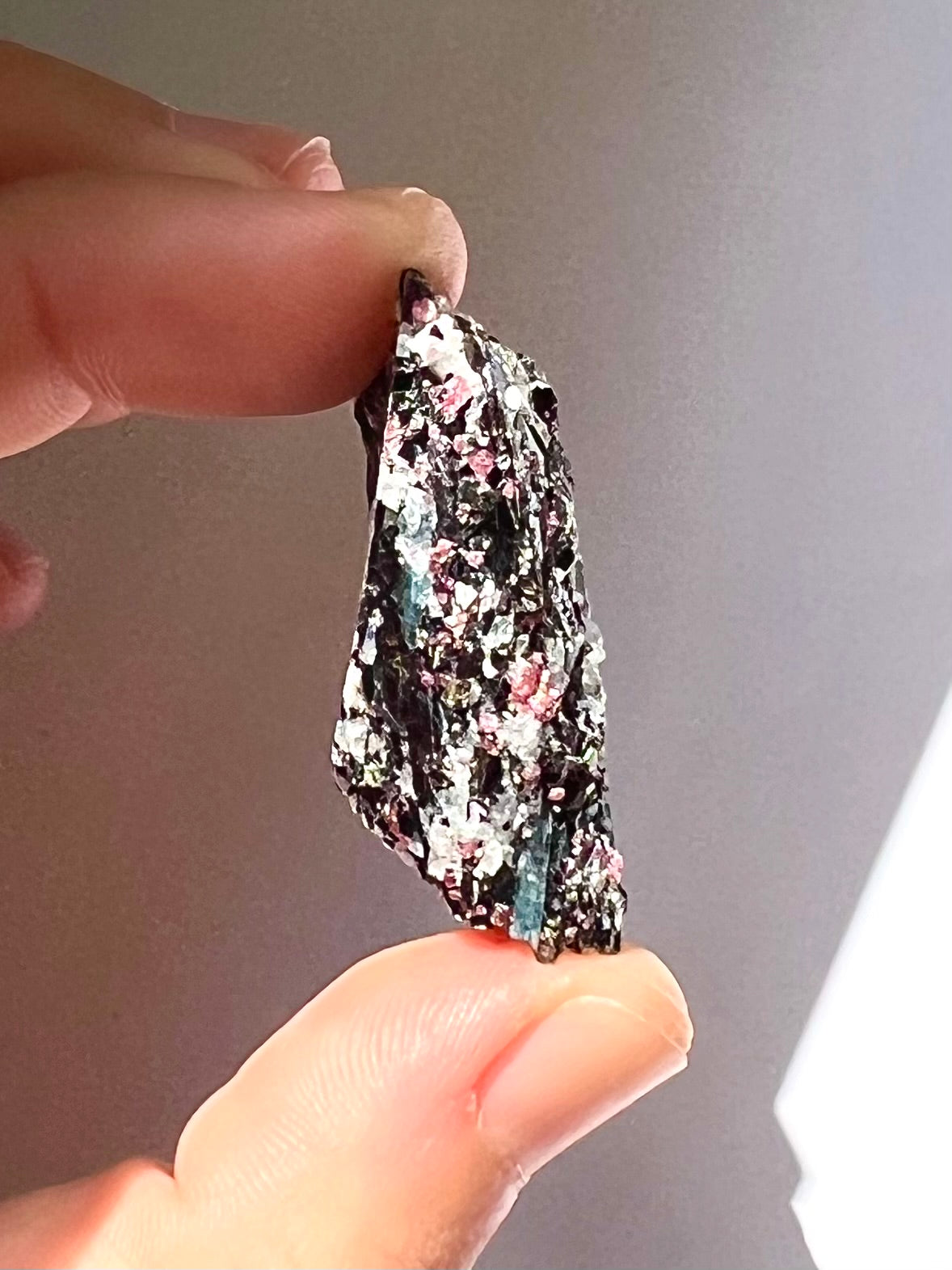 Spécimen Cyanite / Grenat / Biotite / Albite / Quartz 1