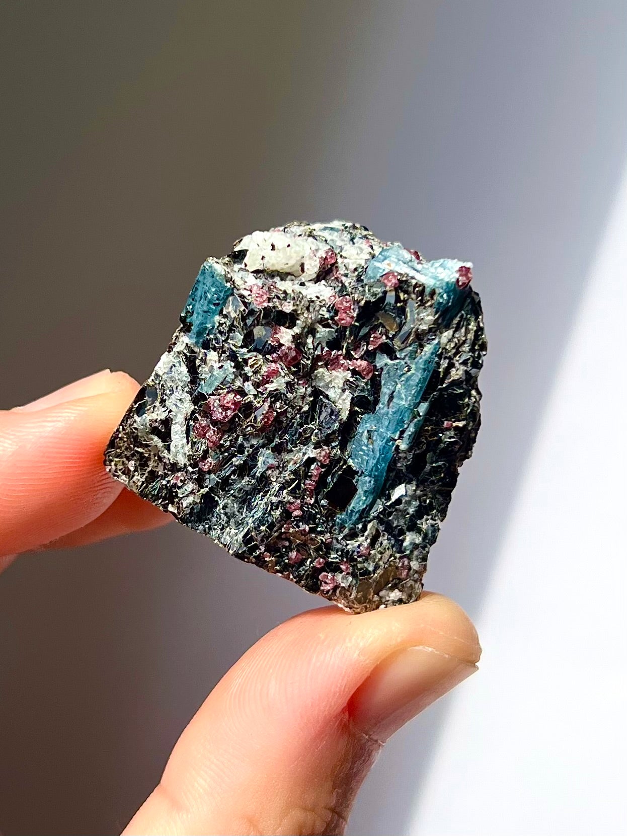 Spécimen Cyanite / Grenat / Biotite / Albite / Quartz 7