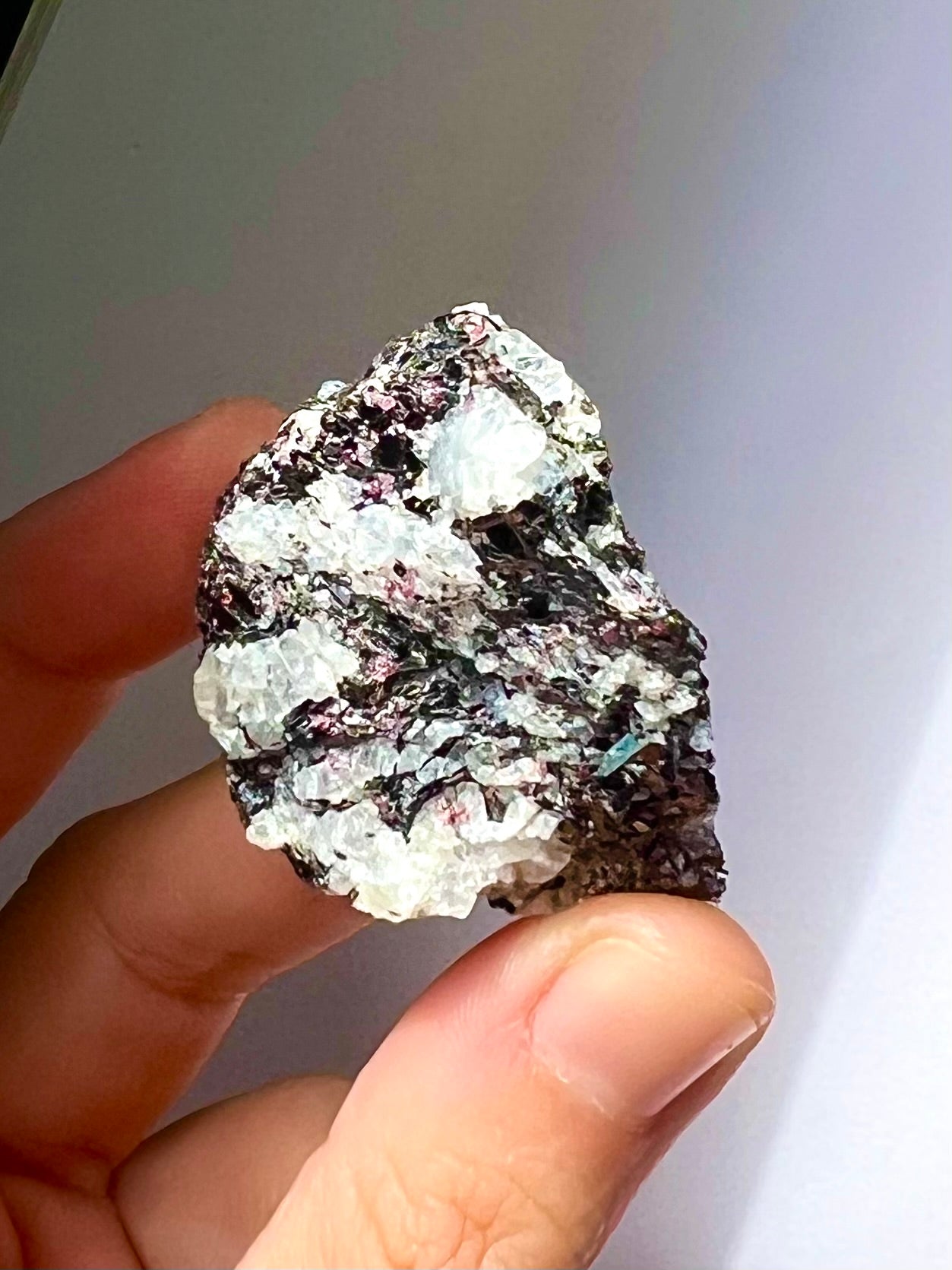 Spécimen Cyanite / Grenat / Biotite / Albite / Quartz 5