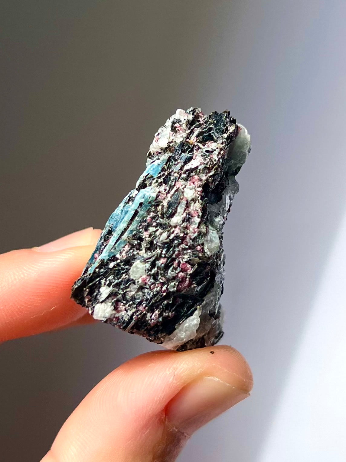 Spécimen Cyanite / Grenat / Biotite / Albite / Quartz 5