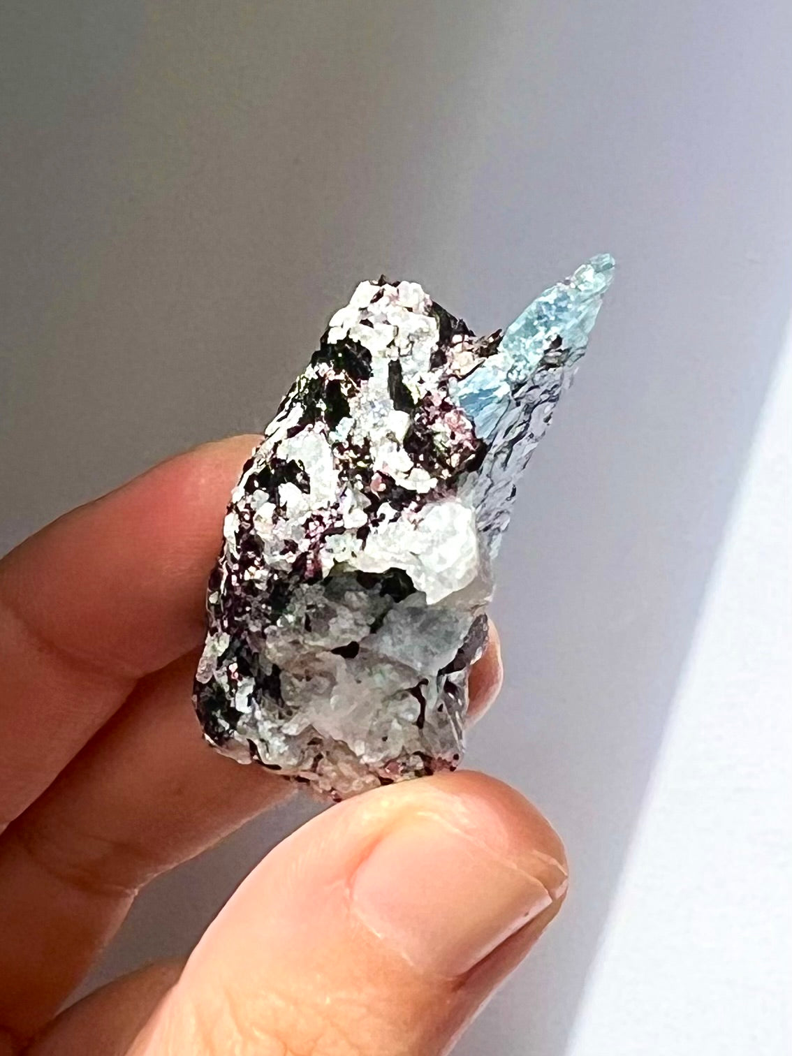 Spécimen Cyanite / Grenat / Biotite / Albite / Quartz 6