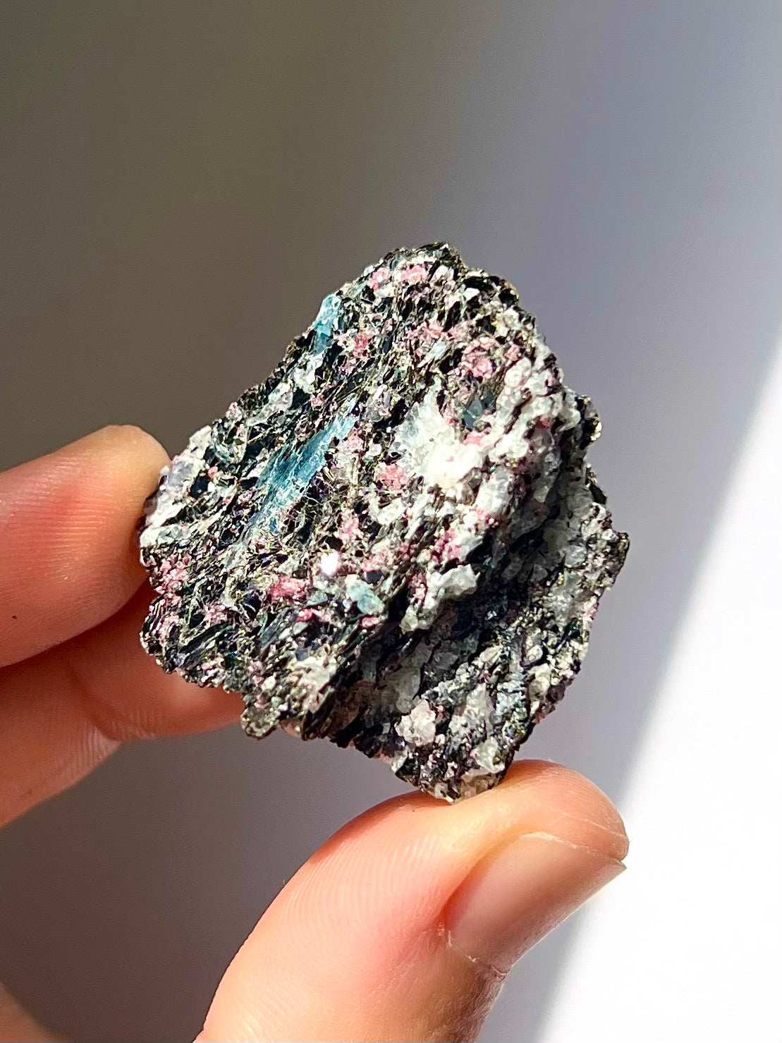 Spécimen Cyanite / Grenat / Biotite / Albite / Quartz 8