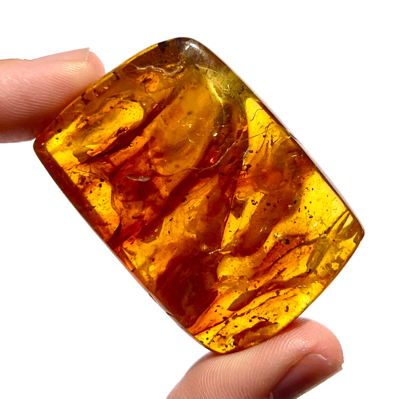 Ambre 4