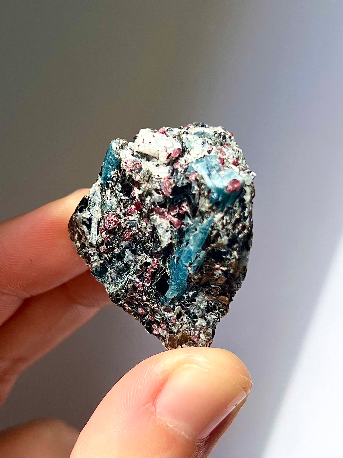 Spécimen Cyanite / Grenat / Biotite / Albite / Quartz 7
