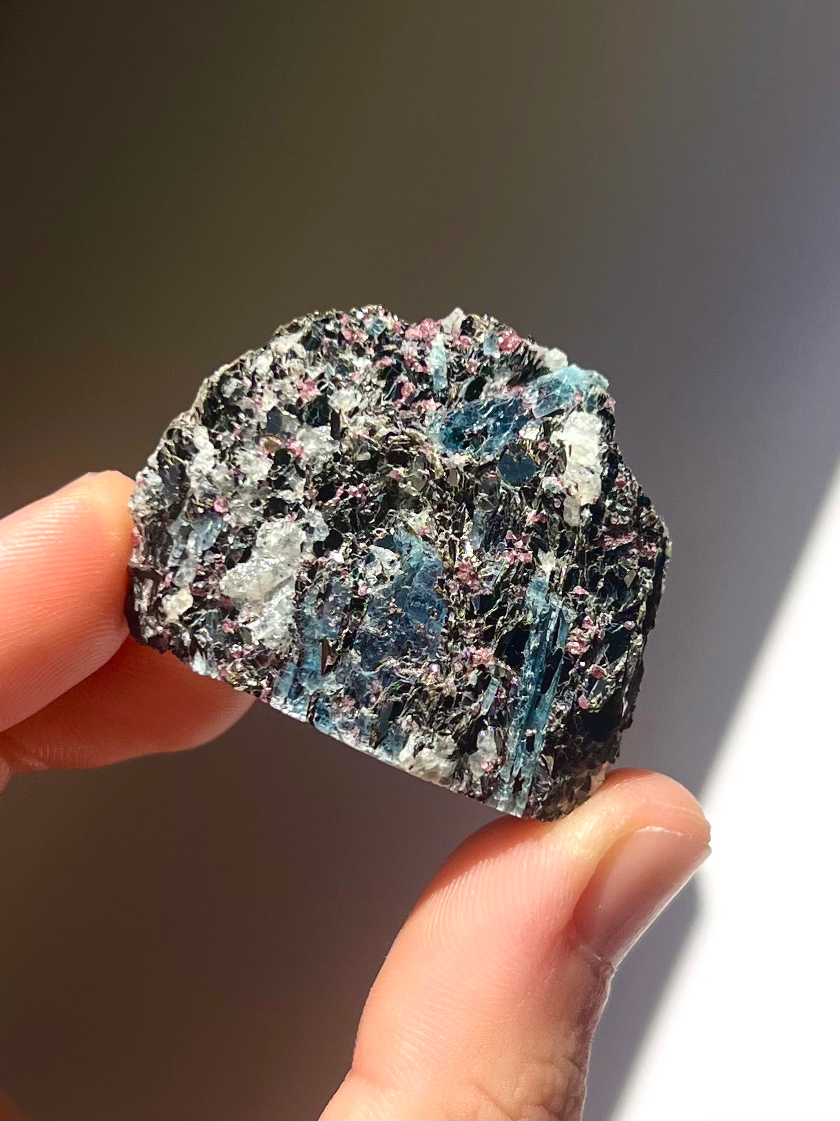 Spécimen Cyanite / Grenat / Biotite / Albite / Quartz 10