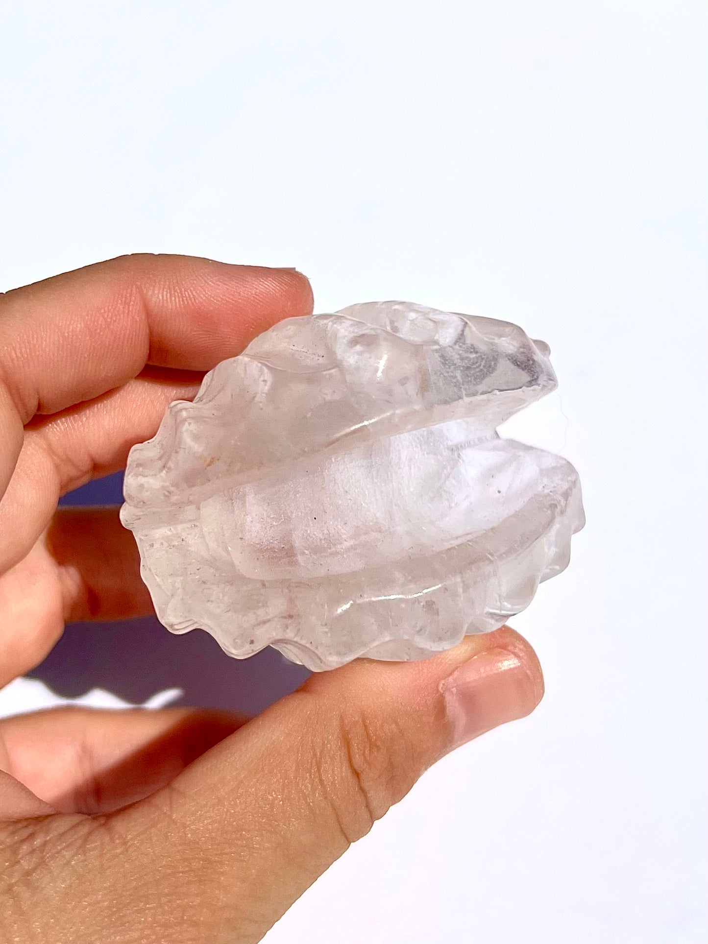 Coquillage en Cristal de roche 1