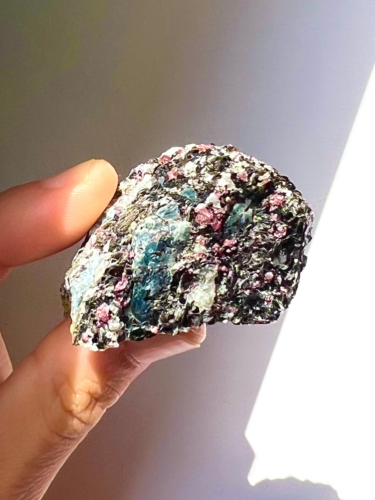 Spécimen Cyanite / Grenat / Biotite / Albite / Quartz 2