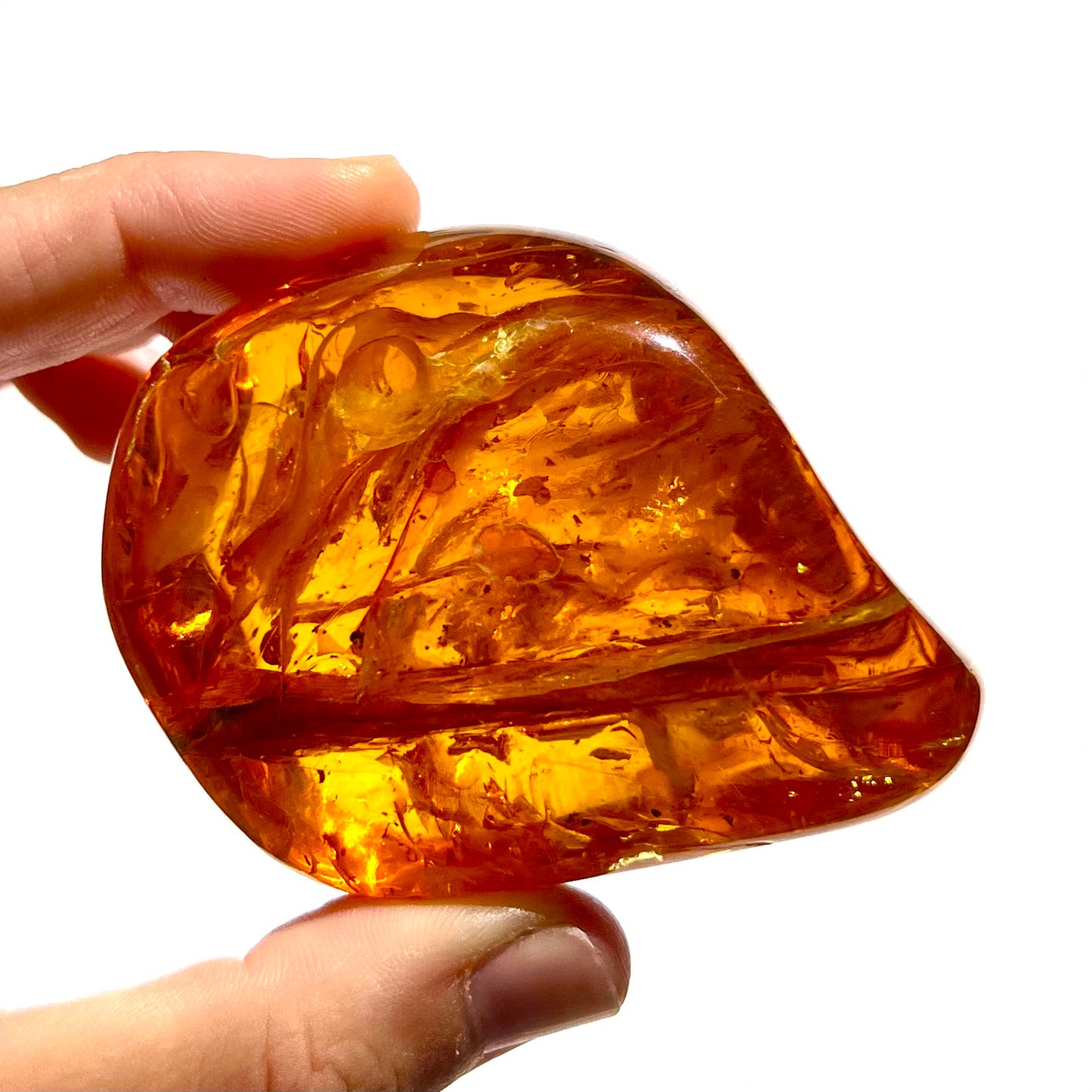 Ambre 1