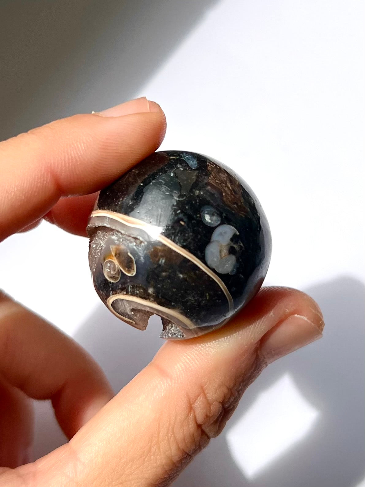 Sphère de Fossile / Agate Turitelle 2