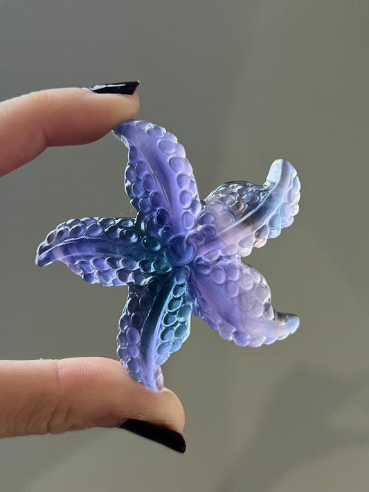 Étoile de mer en Fluorite 1