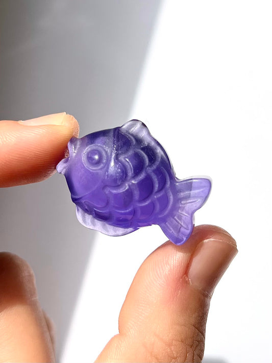 Poisson de Fluorite 1