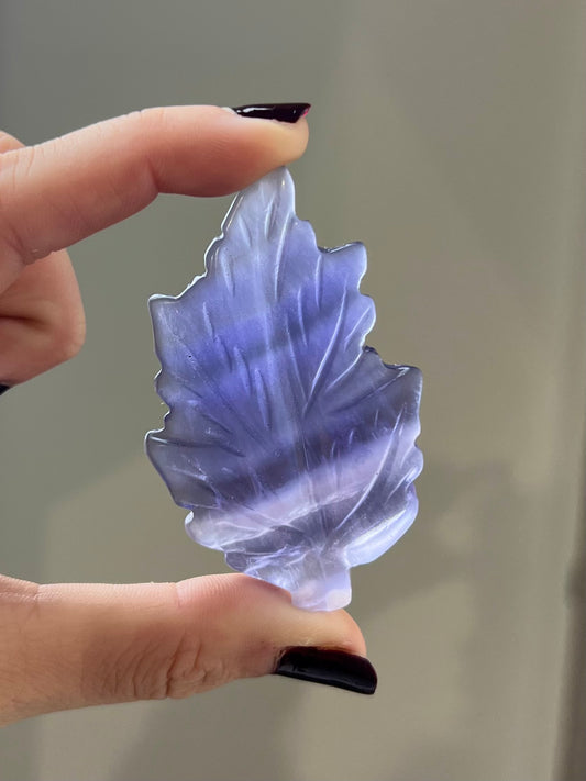 Feuille en Fluorite 2