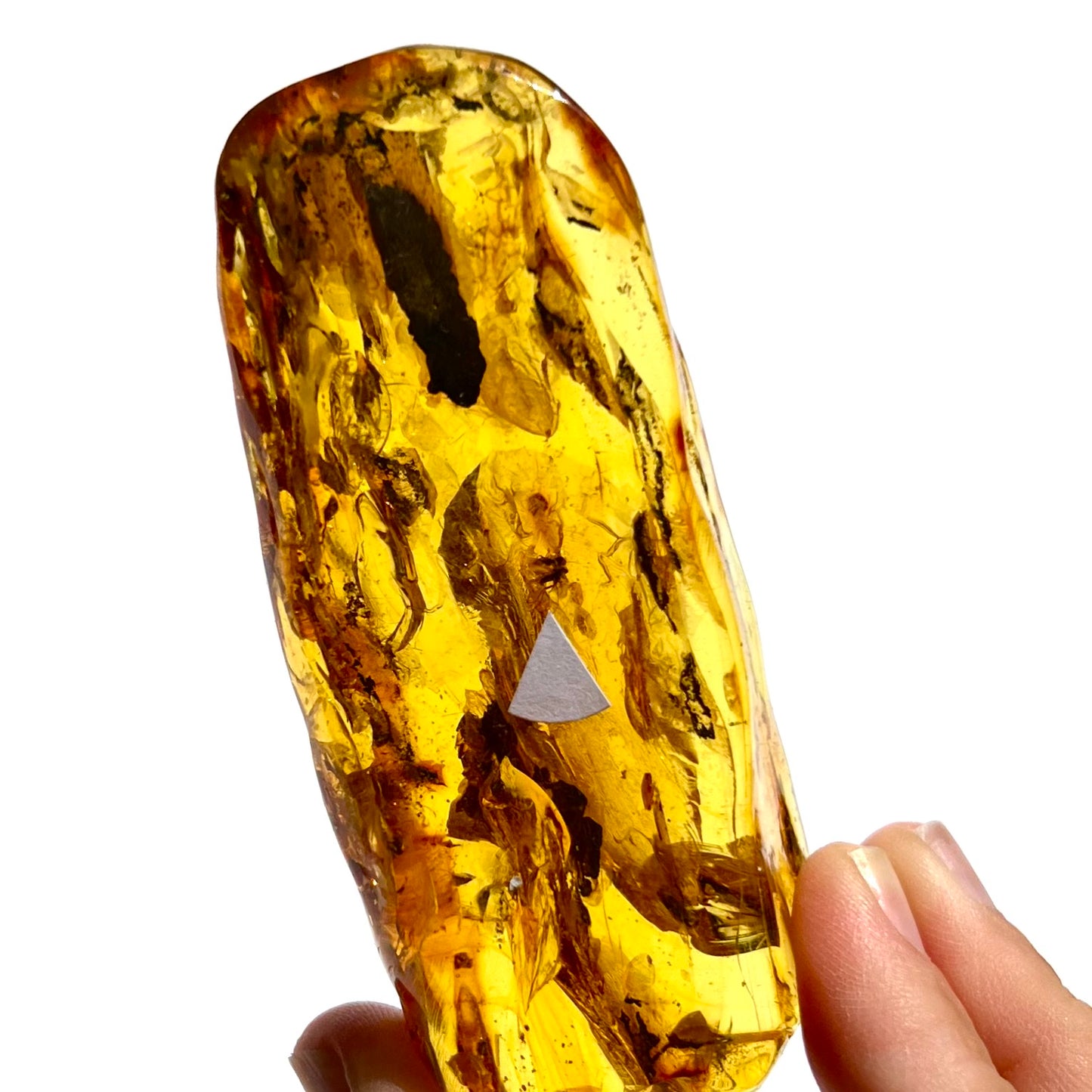 Ambre avec insecte 2