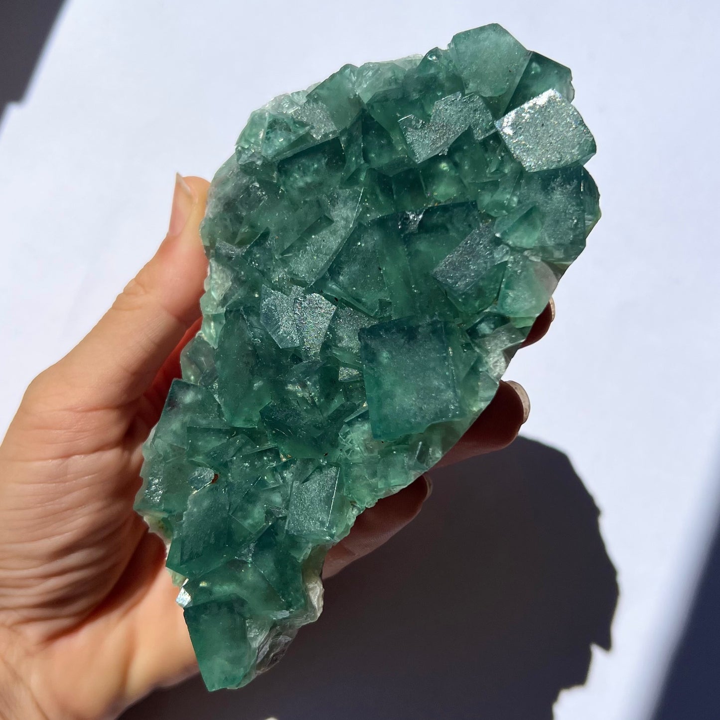 Fluorite brute 1