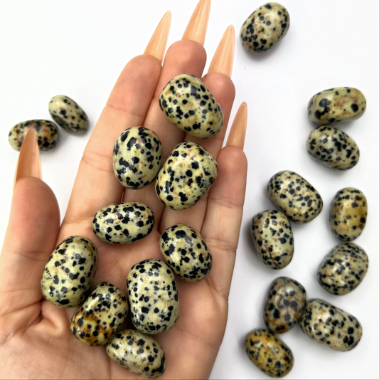 Pierre roulée Jaspe dalmatien